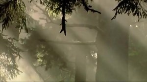 What do ice cores tell us about the history of climate change and the present trend? This video explains one perspective; arguably the most accurate one. And if you skip to 2:25, you will see the huge error THEY have made and the assumptions and extrapolations based on that error. #ClimateAction #climatecrisis #iceage | Ryan Brooks