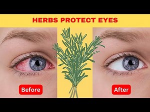 8 Herbs to Protect Eyes and Repair Vision
