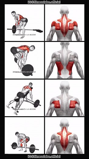 Effective Barbell Back Workout Routine