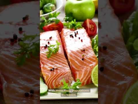 The History of Agriculture: From Prehistoric Times To Modern Farming