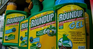 Jury finds weed killer contributed to man's cancer