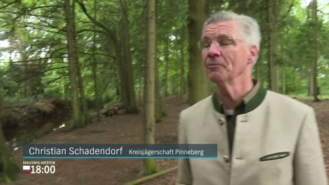 Schleswig-Holstein 18:00: Schleswig-Holstein 18:00 | 30.05.2025