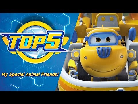 [Superwings Ranking Show] My special animal friends! Top 5