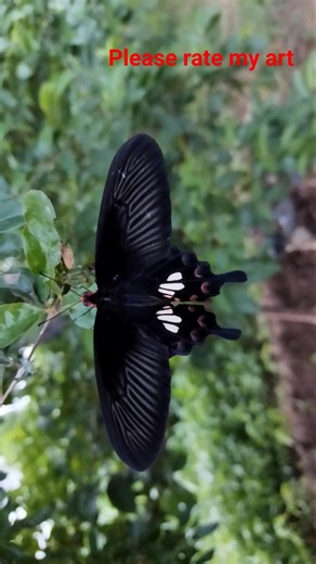 photography, photography tips, photography lens, film photography,