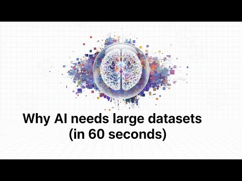 Why AI needs large datasets (in 60 seconds)