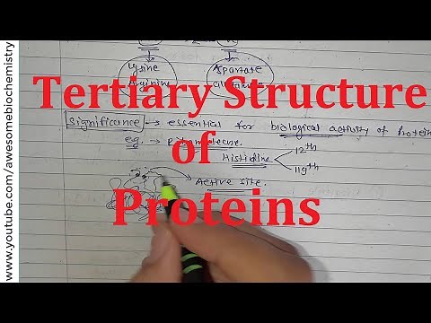20. Tertiary structure of proteins | NEET MBBS