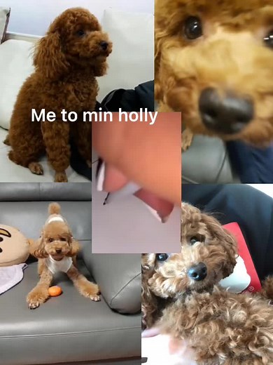 Adorable Yoongi Edit featuring Min Holly