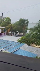 29K views · 451 reactions | Placencia, Belize! | Breaking Belize News | Facebook