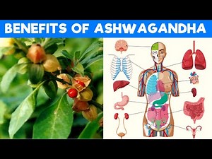 8 Amazing Health Benefits of Ashwagandha