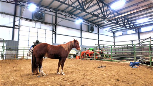 1.8K views · 24 reactions | TUTORIAL TIME ~ LEADING A FOOT One of the key elements in our training is teaching our horses how to lead a foot. Jesse explains how we do it and why it is so important to us. | Bar Milton Ranch | Facebook