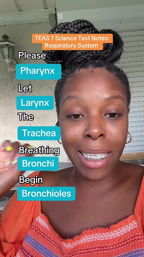 Respiratory System Notes for TEAS 7 Science Test