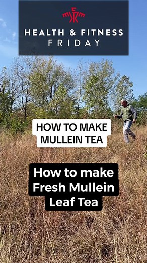 How to make Mullein Tea.