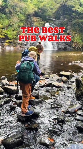 5.5K views · 105 reactions | A waterfall, a rainforest and a pub with...