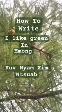 How To Write A Sentence In Hmong