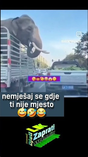nemješaj se gdje ti nije mjesto #sseemmiirr #bosna #srbija #hrvatska #balkan