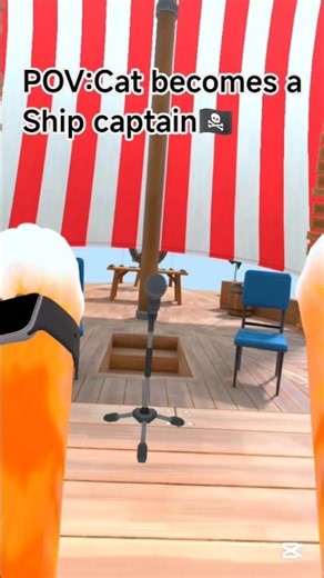 POV:Cat becomes a ship captain 🏴‍☠️ #epicfail #funny #vr #iamcat