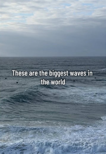 🏄Watching People Surf The Biggest Waves In The World!🏄 #portugal🇵🇹 #surfing #surf #bigwaves #dangerous