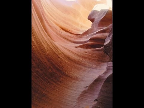 BENEFITS OF LUTEIN & ZEAXANTHIN