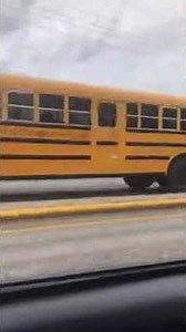 IC RE School Bus #559 on Busse Rd