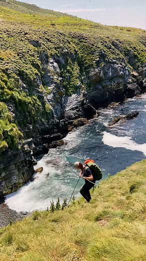 As a puffin researcher, @_jill_taylor is no stranger to the largest puffin colony in North America. Located in @newfoundlandlabrador, Witless Bay Ecological Reserve is a busy place to work with overhead traffic, reuniting mates, and birds fishing or simply sunbathing. Working on this reserve is a little bit stinky, but absolutely spectacular. Only permitted scientists are allowed onto these islands but can be enjoyed by tourists on boat tours! Caption and 🎥: @_jill_taylor 📍: @newfoundlandlabra