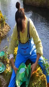 👑🐚 Clamshell Chronicles Rewritten: A Girl’s Discovery Changes Pearl History Forever #pearls #jewelry #fashion #pearl #handmade | Pearl Beauty