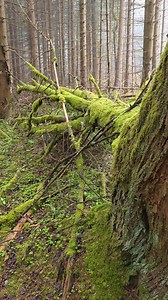 ⛰ With Radiacode, every trip becomes a journey of unforgettable...