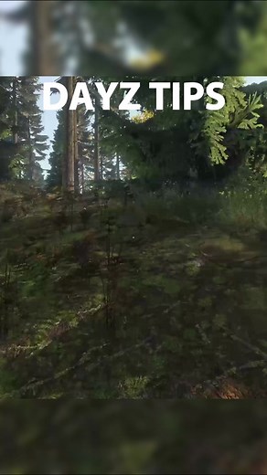 DayZ Navigation Tips: How to Find Your Way Around