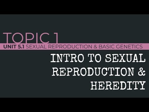 AP Biology: Intro to Sexual Reproduction & Heredity