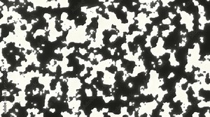 Dissolving screen Alpha (black and white) animation.White generation in black screen