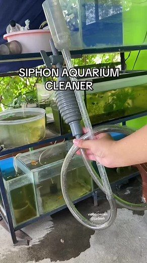 Siphon Aquarium Cleaning Tools Aquarium Cleaner Water Change Siphon Vacuum #siphon #aquarium #aquariumcleaner #aquariumwaterchange #aquariumcleaningtools
