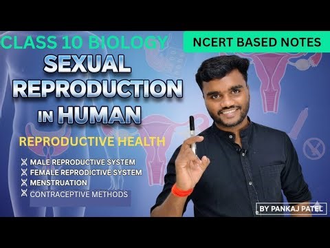 🌸 Human Reproduction & Reproductive Health | Class 10 Biology Full Easy Notes | By Pankaj Patel