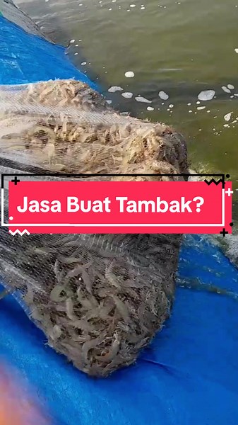 Ketua mau tanbak keren? Sini kita yang buatin🤩 Kita nyediain jasa : - Desain ded tambak - Konstruksi tambak - Survey tambak Mau konsul dulu? Bisa banget ketuaaa 💃 GRATIS!! #pastiadasolusi #difistxinaja #bosmuda #udangvename #tambak #SuksesBersama #budidayaikan #budidaya #fypgakni #fypppppppppppppp #fyp #venami #modern #tambakudang #tambakmodern #ikan #kekinian #udang #kekinian #hits