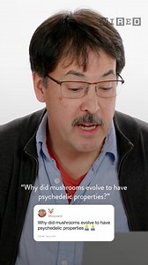 196K views · 3.2K reactions | Why do "magic" mushrooms exist? | WIRED | Facebook
