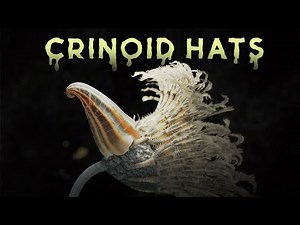 Crinoid Hats