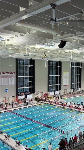 Best Pool in the U.S… But No Swim Team? | UMD