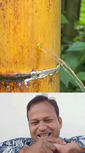 क्या आप जानते हैं बांस के पेड़ से कितना पानी निकलता है 😘😊😀 #reels #shorts #viralreelsシ #trendingnow | Rishi Pal Singh