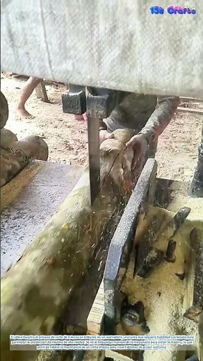 Corte de madera en el aserradero: elaboración de madera con precisión