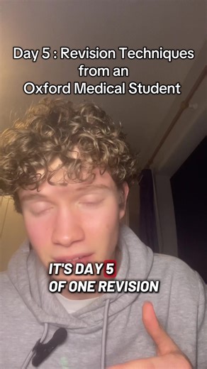 Day 5 : Leitner Sysem Flashcard technique on steroids #revsion #education #gcse #alevel #school