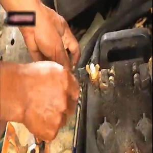 1.5M views · 21K reactions | Pueblo de refinería de petróleo de Indonesia, todo el pueblo es petróleo refinado, los productos terminados se venden por solo 0,2 USD/litro. | Marilyn Minzola Art | Facebook