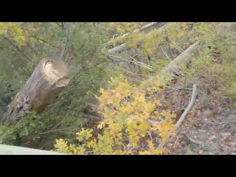 2025 AZT Fall Section Hike - Day 19