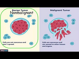 Watch how to sign 'harmless' in American Sign Language.