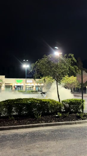 AI-Generated Corvette Dance Experience