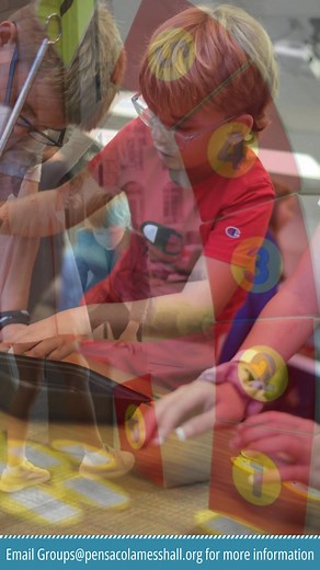 The Pensacola MESS Hall is the place to go for all hands-on math, engineering, science, and stuff. Yet, we can come to you, bringing an interactive show and six hands-on stations. Our summer outreach programs engage your learners in exciting scientific discovery. Suitable for mixed ages camps with learners entering grades 1-6. The program can also be modified for older learners. All we need from your facility is a space large enough for the show and stations. We bring all the materials for fun a