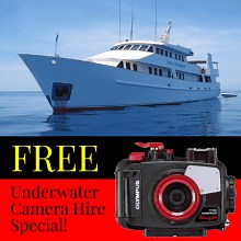 Cod Hole & Ribbon Reef Liveaboard Diving Cairns - Great Barrier Reef