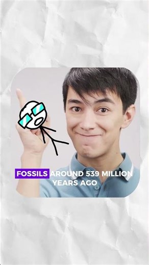 New Fossils Change What We Know About The Cambrian Explosion #science #fossil #facts