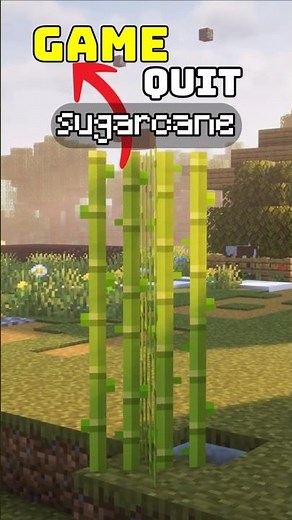 Minecraft: Why Can't I Bone Meal Sugarcane in Java?!
