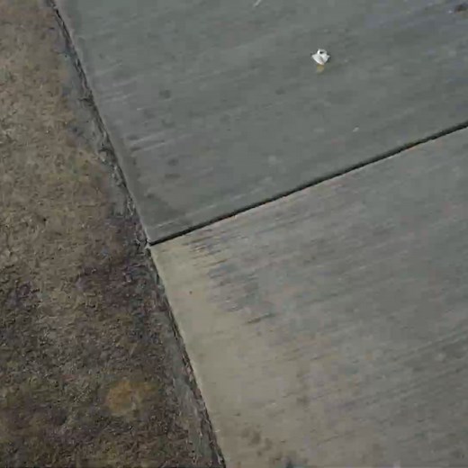 One man, one jetpack 🫡 | Dobre Brothers