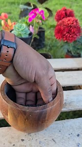 262K views · 4.6K reactions | Learn how to make a powerful natural fertilizer at home using just a banana peel and eggshells! 讀 This easy DIY mix releases potassium, magnesium, and calcium to help your plants grow stronger, healthier, and more vibrant. Perfect for home gardens, potted plants, or anyone looking for an eco-friendly way to boost soil naturally. ✨ #PlantHack #DIYGarden #HomeGarden #OrganicFertilizer #SoilBoost | MY OWN Garden | Facebook