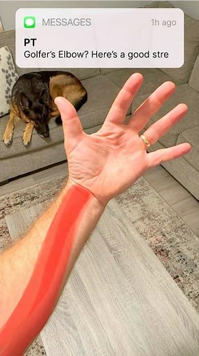 4 way forearm stretch. FAST! 💨