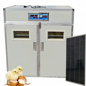 [Hot Item] Fully Automatic 500 Solar Egg Incubators Hatching Solar Incubator Hatchery Machine in South Africa